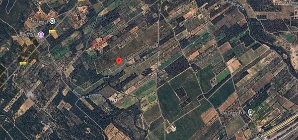 Spot image