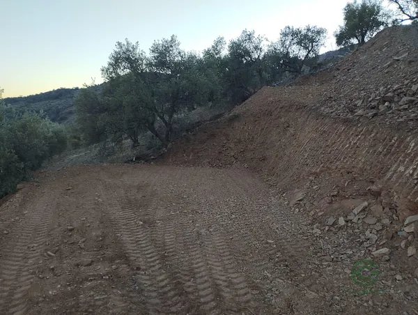 Spot image