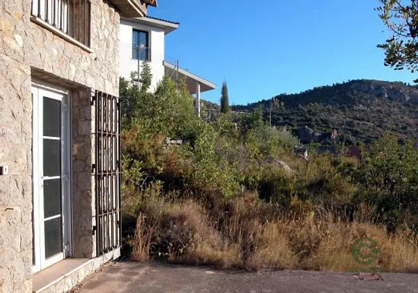 Spot image