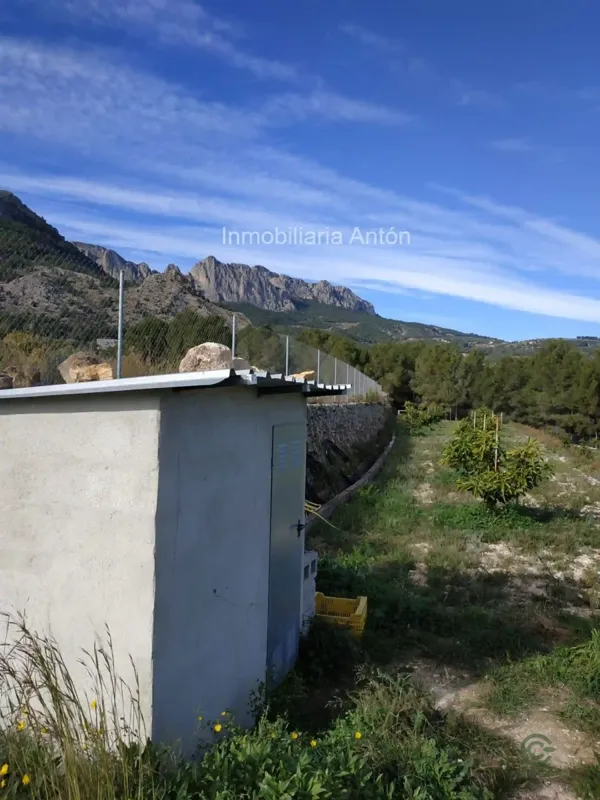 Spot image