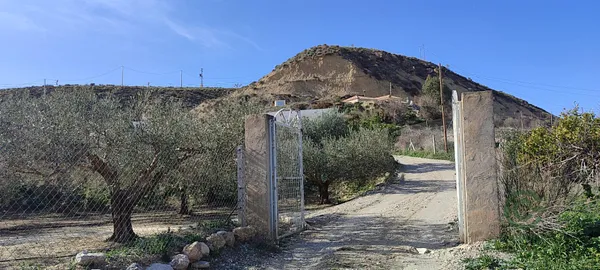 Spot image