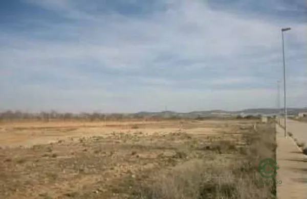 Spot image