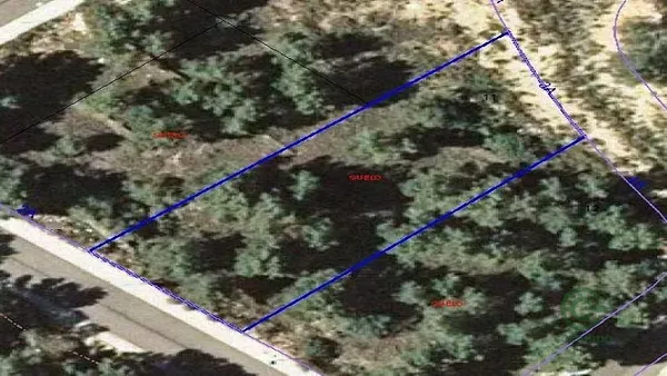 Spot image