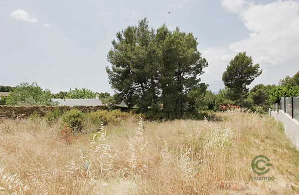 Spot image