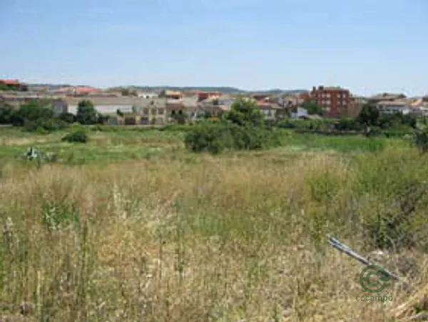 Spot image