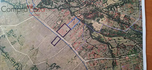 Spot image