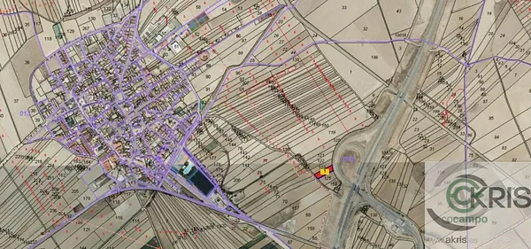 Spot image