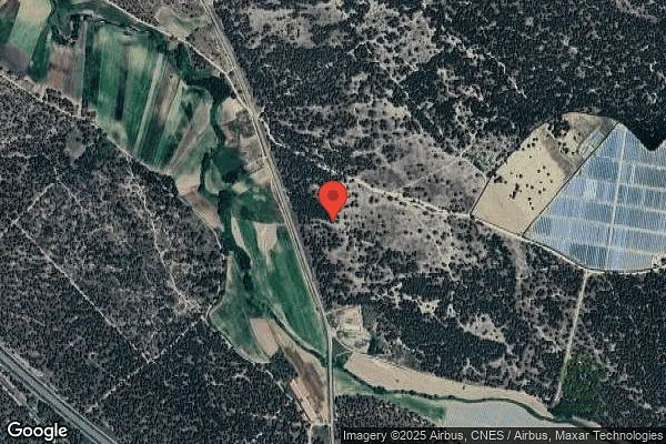 Spot image
