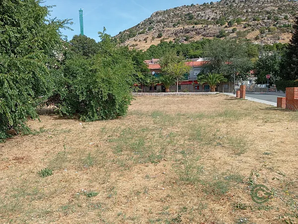 Spot image