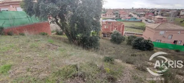 Spot image