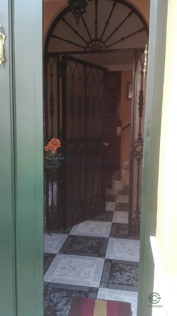 Spot image