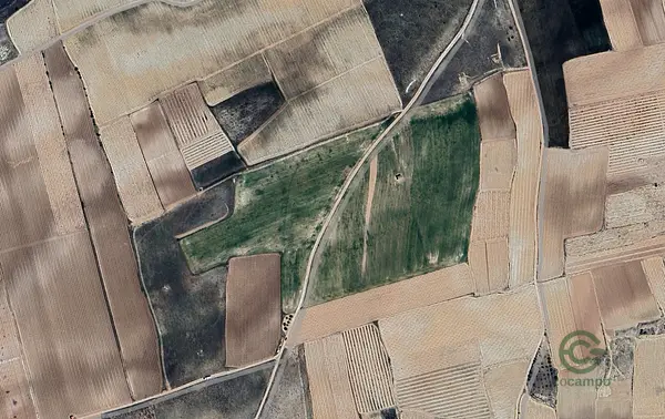 Spot image
