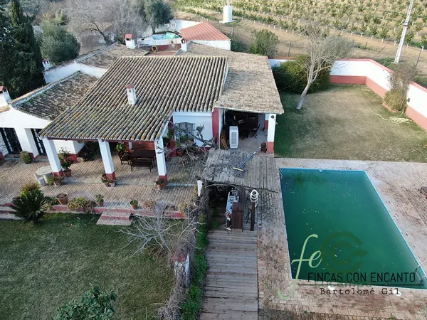 Spot image