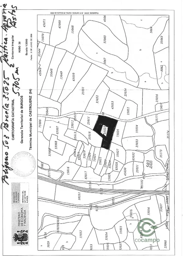 Spot image