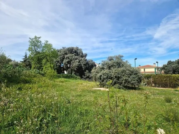 Spot image