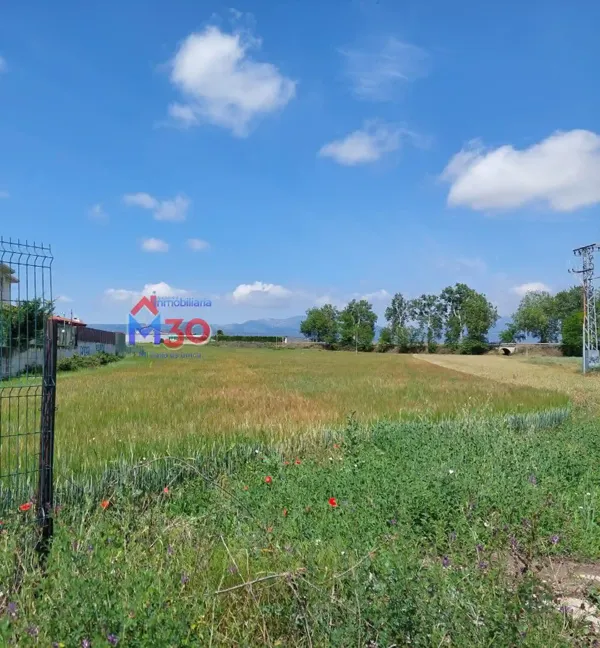 Spot image