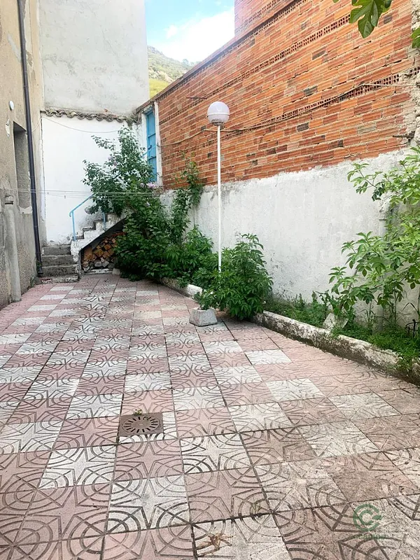 Spot image