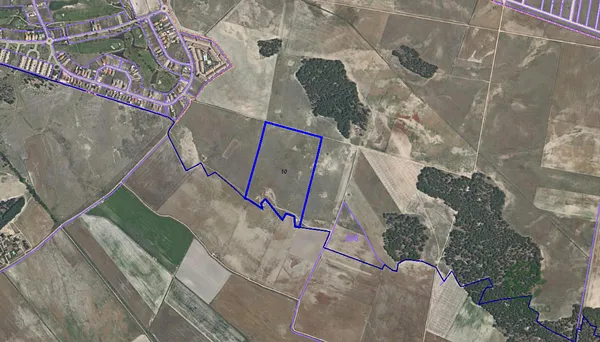 Spot image