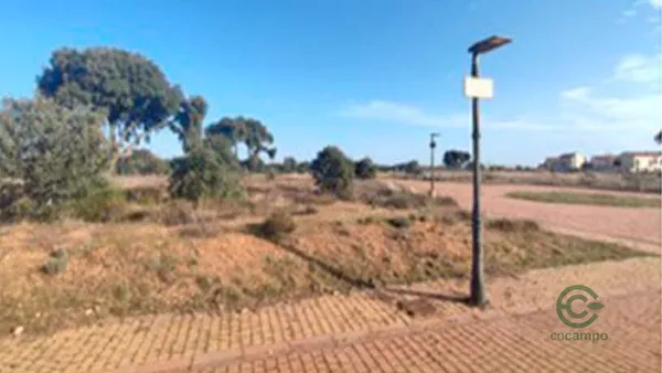 Spot image