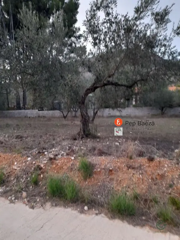 Spot image