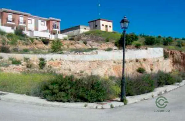 Spot image