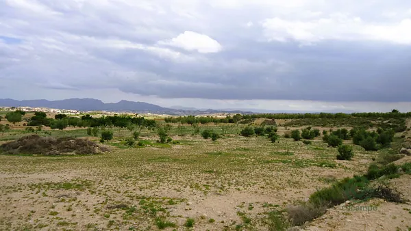 Spot image