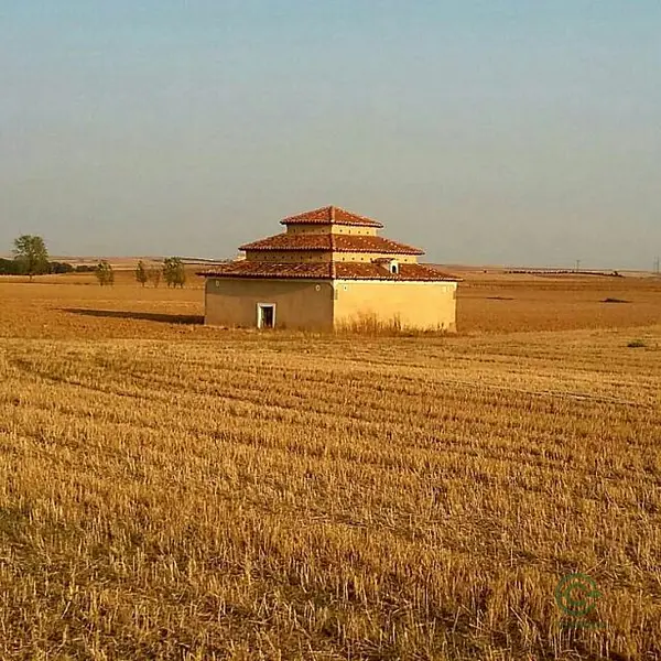 Spot image