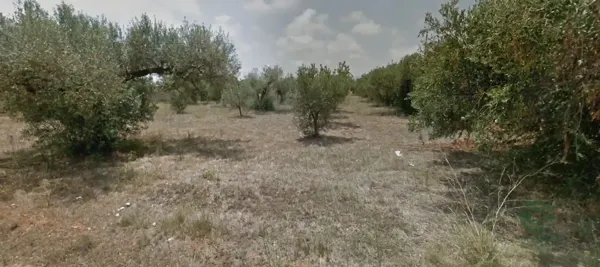Spot image