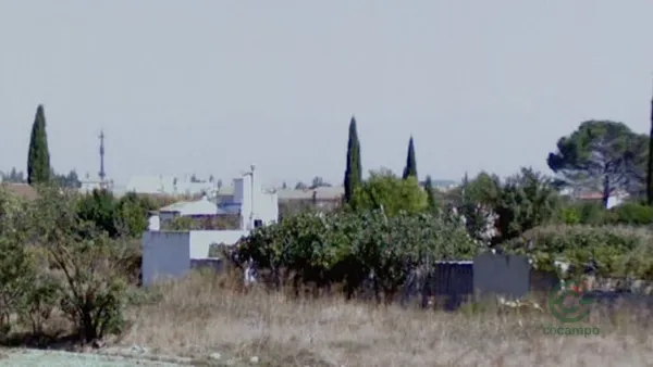 Spot image
