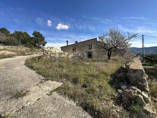 Spot image