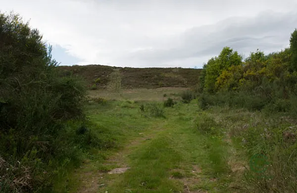Spot image