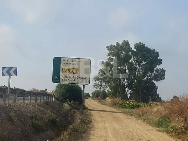 Spot image