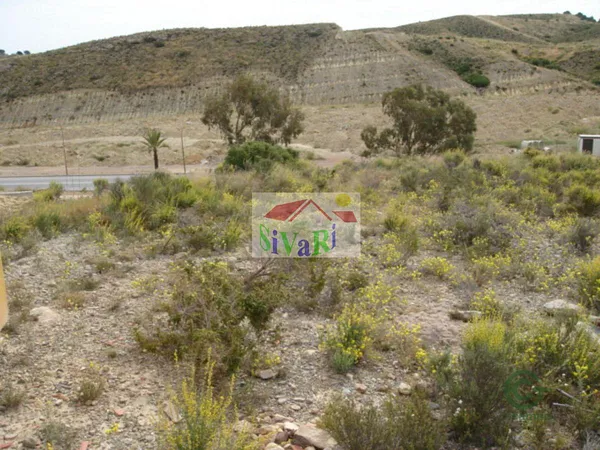 Spot image