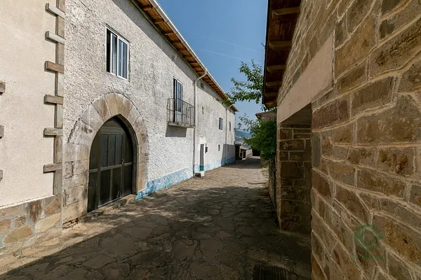 Spot image