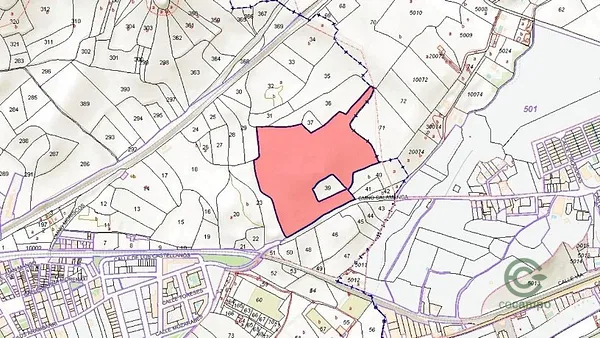 Spot image