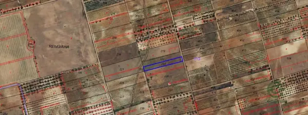 Spot image