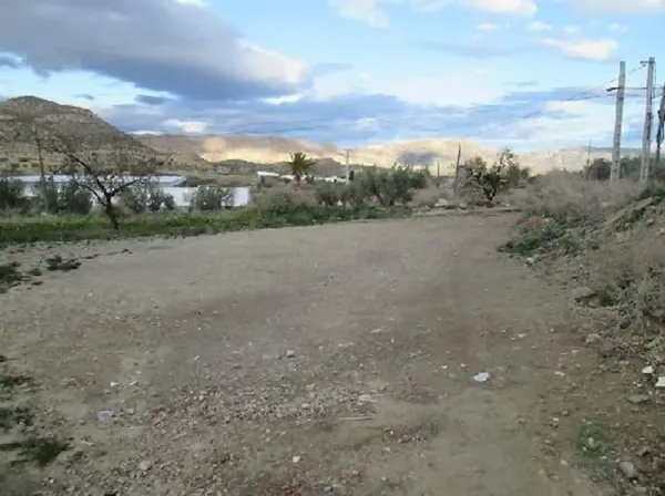 Spot image