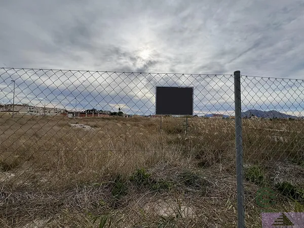 Spot image
