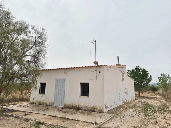 Spot image