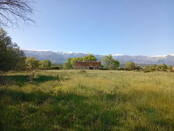 Spot image