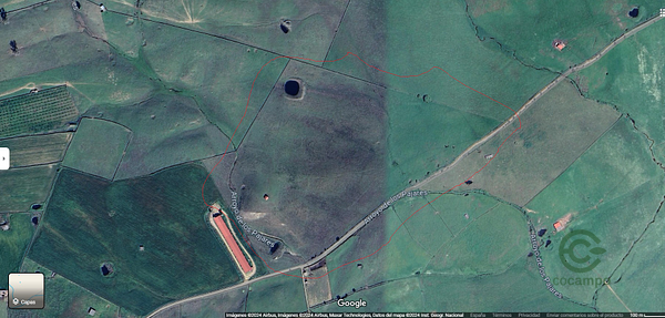Spot image