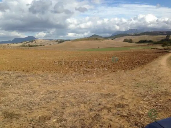 Spot image
