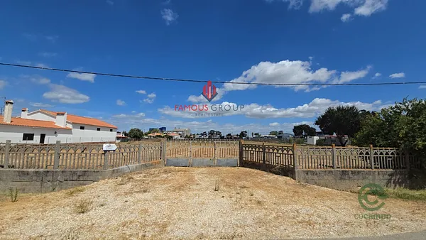 Spot image