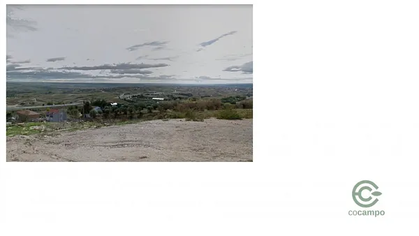 Spot image