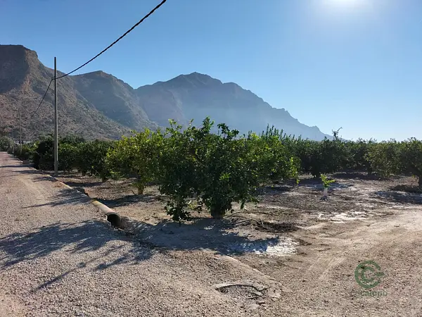 Spot image