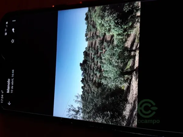 Spot image