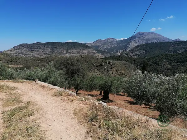 Spot image