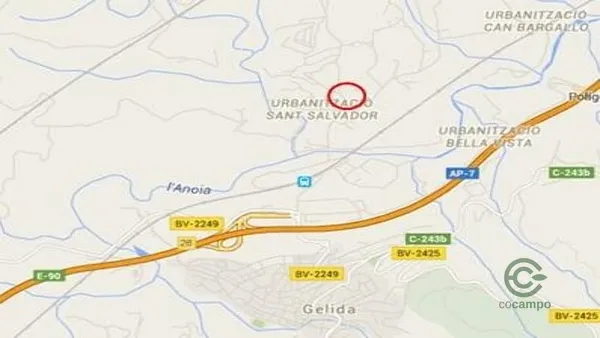 Spot image