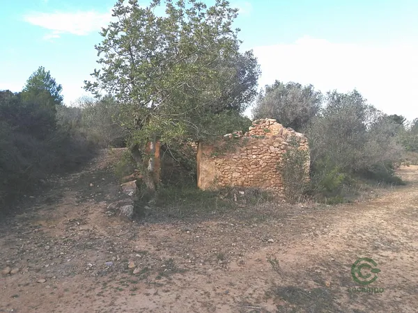 Spot image