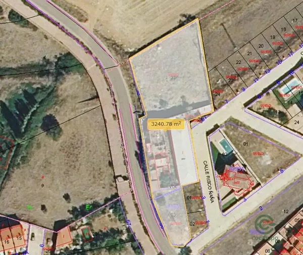 Spot image